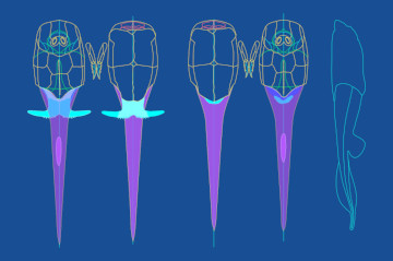 making microbrachius #01