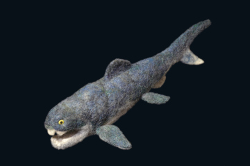 dunkleosteus source #01