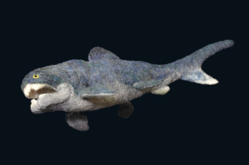 dunkleosteus source #04