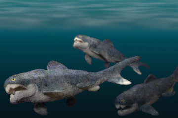 Dunkleosteus #1