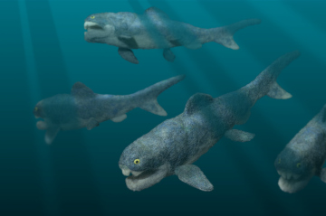 Dunkleosteus #4