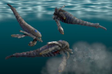 Eurypterus