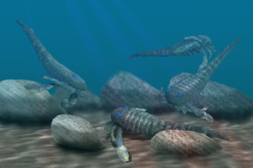 Eurypterus #2