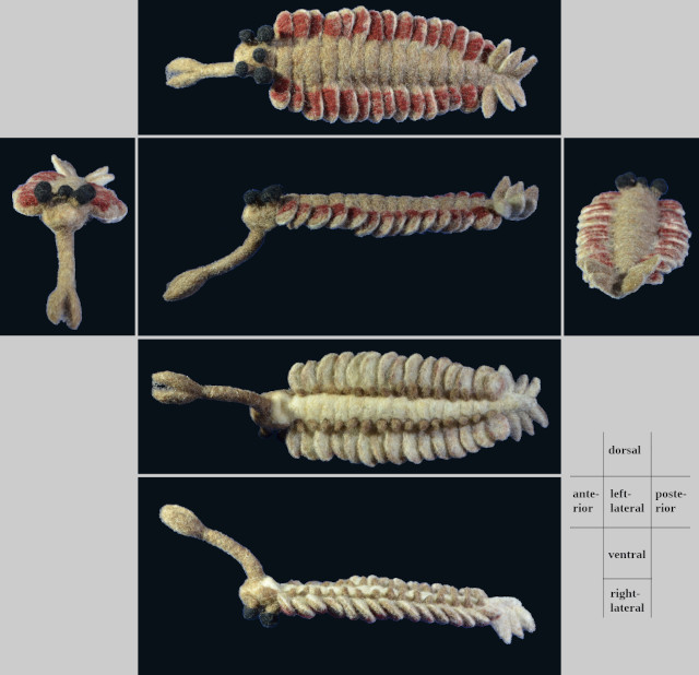 Opabinia