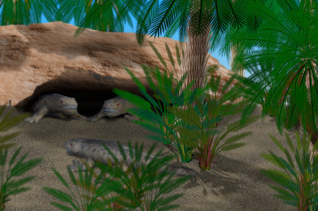 セイモウリア #02