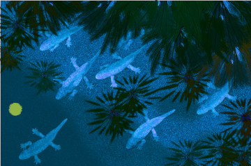 セイモウリア #03