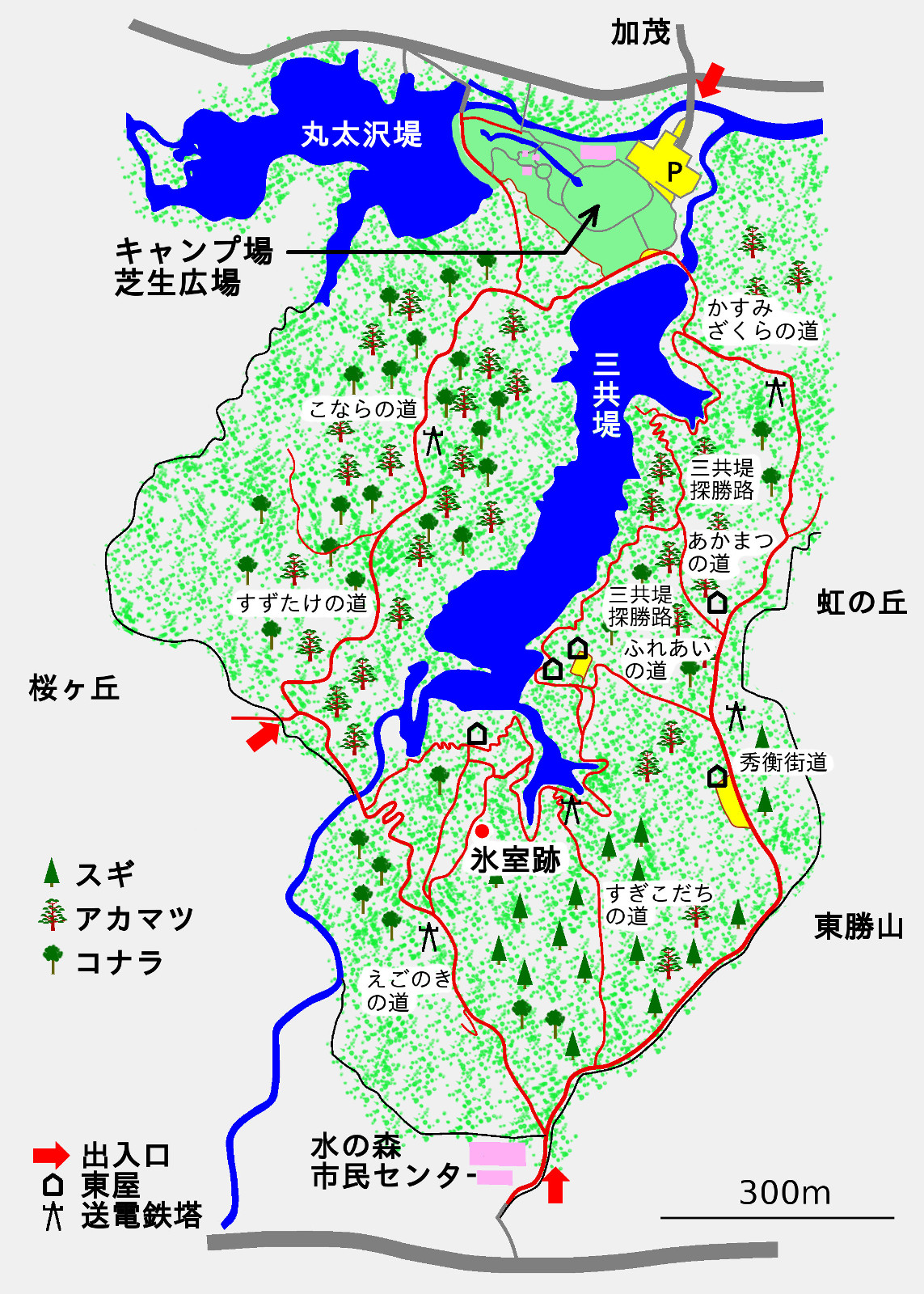 水の森公園地図